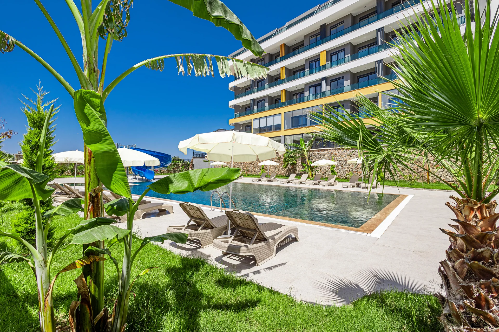 Pool framed by palms in Alanya